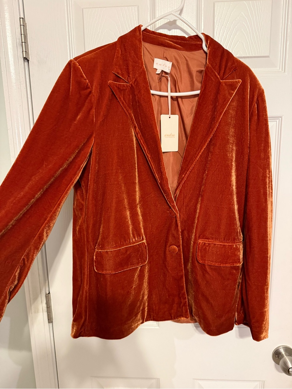 Rust Velvet Blazer Jacket and matching pant - Women's